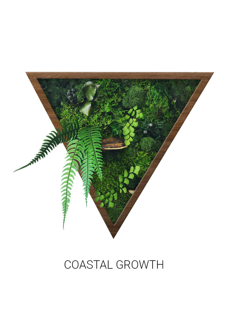 Coastal Growth | Triangle Moss Art